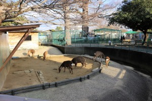 和歌山城の動物園