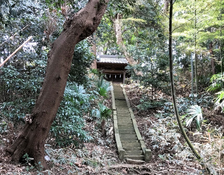 熊野神社（大庭神社旧蹟）・臺谷戸の森の中の神社