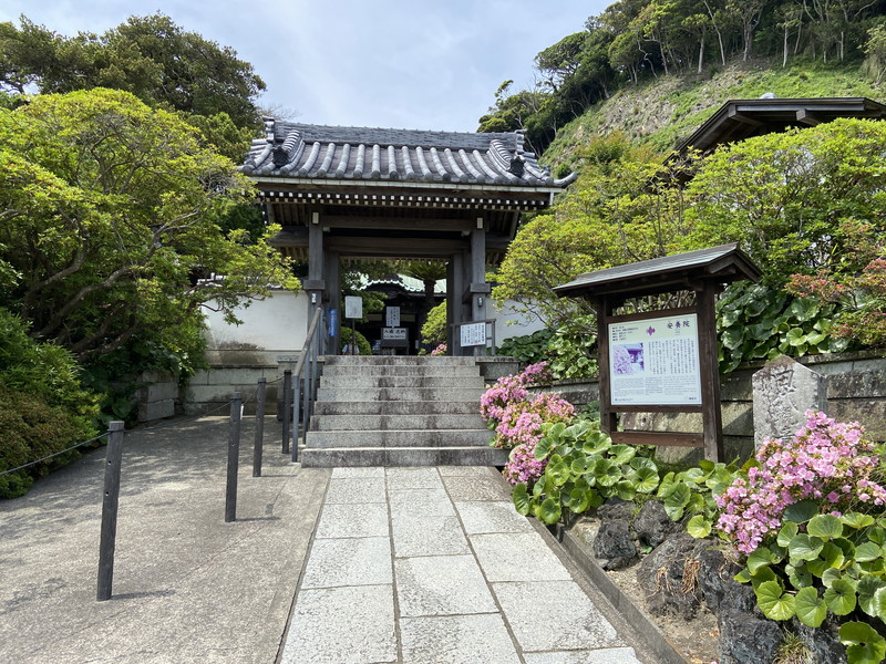 鎌倉・安養院