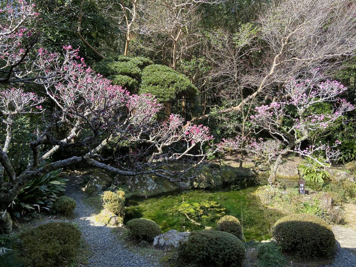 柴屋寺の庭園