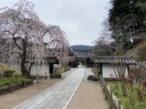 奈良・長谷寺